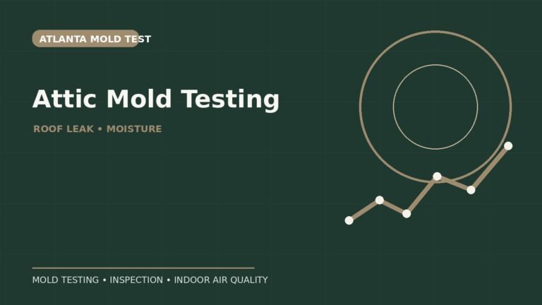 Attic Mold Testing After a Roof Leak