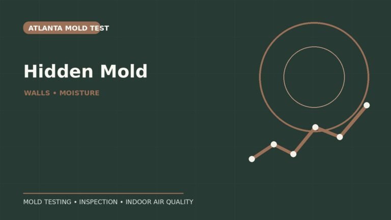 Can Mold Be Hidden Behind Drywall Without Visible Signs?