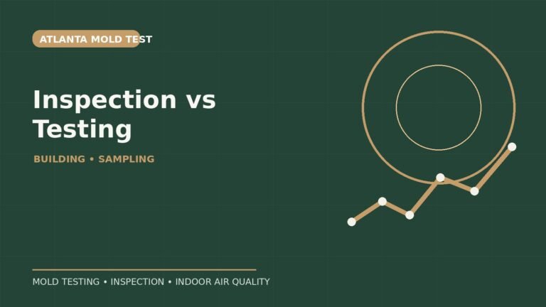 Mold Inspection vs. Mold Testing: What Is the Difference?