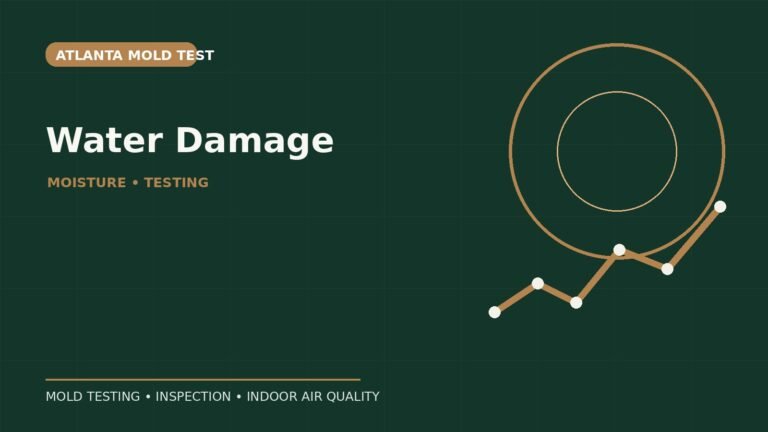 When Should You Get a Mold Test After Water Damage?